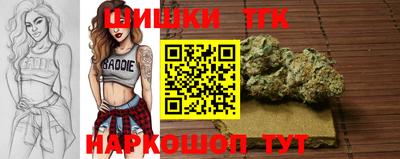 2c-b Гатчина