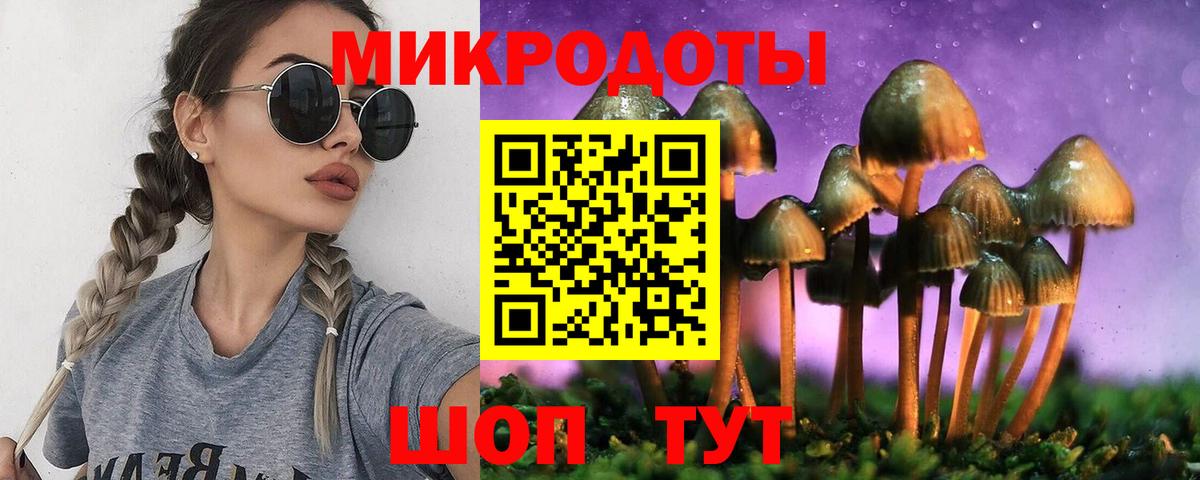 Нижний Тагил  Галлюциногенные грибы Cubensis  Вход с VPN 